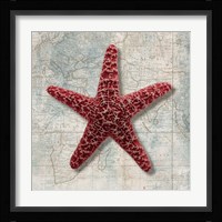 Starfish Fine Art Print