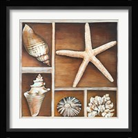 From the Ocean II Fine Art Print