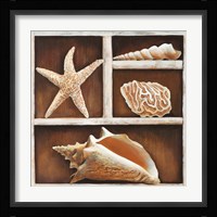 From the Ocean III Fine Art Print