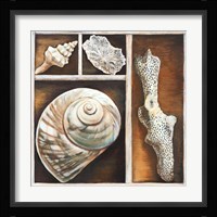 From the Ocean IV Fine Art Print