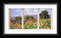 Finestra sui Girasoli Fine Art Print