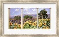 Finestra sui Girasoli Fine Art Print