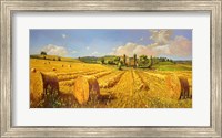 Campo in Toscana Fine Art Print