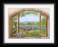 Finestra in Provenza Fine Art Print