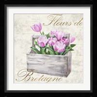 Fleurs de Bretagne Fine Art Print