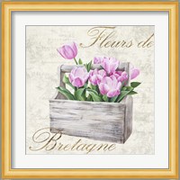 Fleurs de Bretagne Fine Art Print