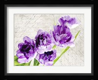 Reverie Fine Art Print