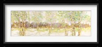 Bosco di Betulle I Fine Art Print