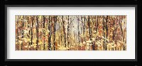 Nel Bosco Assolato Fine Art Print