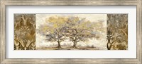 Golden Trees Fine Art Print