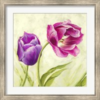 Tulipani Danzanti (Detail) Fine Art Print
