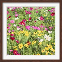 Country Flowers Fine Art Print