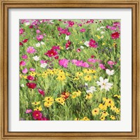 Country Flowers Fine Art Print