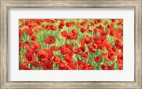 Poppy Field Fine Art Print