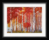 Bosco di Betulle Fine Art Print