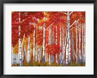 Bosco di Betulle Fine Art Print