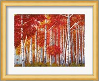 Bosco di Betulle Fine Art Print