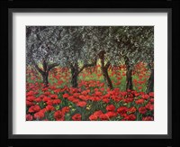 Papaveri Sotto Gli Ulivi Fine Art Print
