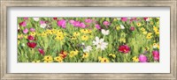 Field of Flowers (Detail) Fine Art Print