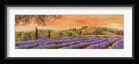 Filari di Lavanda Fine Art Print