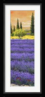 Pomeriggio tra la Lavanda Fine Art Print