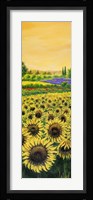 Girasoli e Lavanda Fine Art Print
