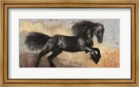 Black Stallion Fine Art Print