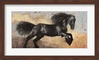 Black Stallion Fine Art Print