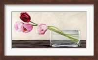 Modern Composition, Tulips Fine Art Print