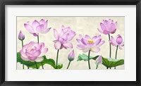 Lotus Flowers Fine Art Print