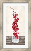 Arrangement of Orchids Fine Art Print