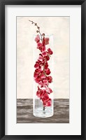 Arrangement of Orchids Fine Art Print