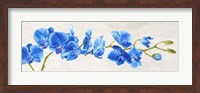 Blue Orchid Fine Art Print