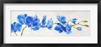 Blue Orchid Fine Art Print
