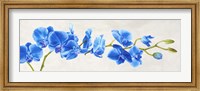 Blue Orchid Fine Art Print