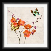 Orchids & Butterflies I Framed Print