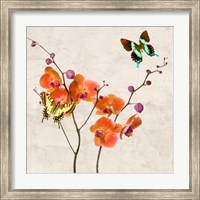 Orchids & Butterflies I Fine Art Print