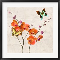 Orchids & Butterflies I Framed Print