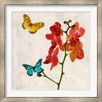 Orchids & Butterflies II Fine Art Print