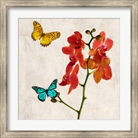 Orchids & Butterflies II Fine Art Print