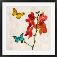 Orchids & Butterflies II Framed Print