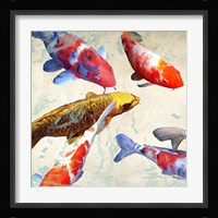 Koi I Framed Print