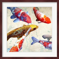 Koi I Fine Art Print