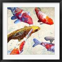 Koi I Fine Art Print