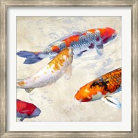 Koi II Fine Art Print