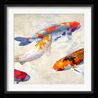 Koi II Framed Print