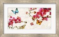 Orchids & Butterflies Fine Art Print