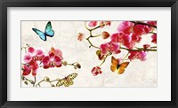 Orchids & Butterflies Fine Art Print