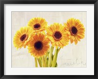 Summertime Fine Art Print