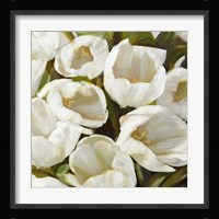 Bianco I Framed Print